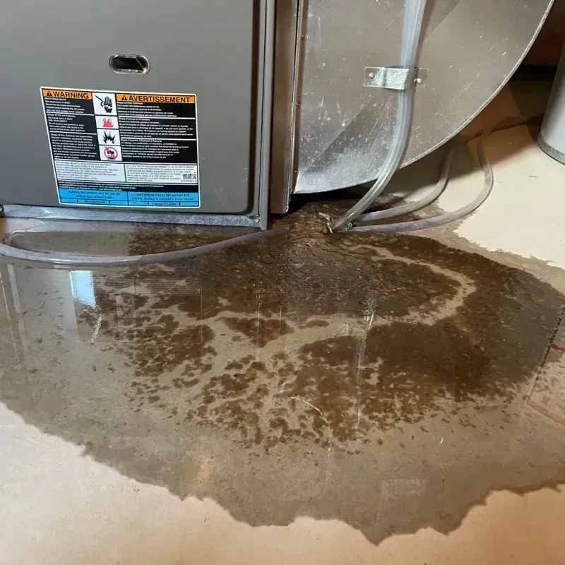 Appliance Leak Cleanup in Sitka, AK